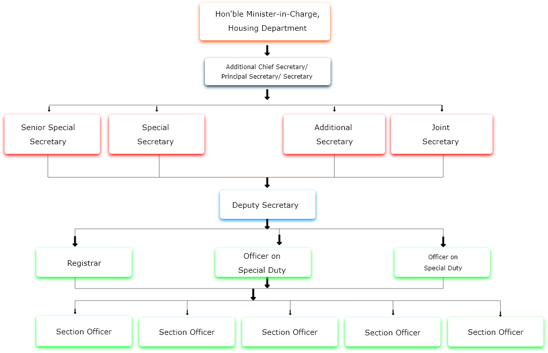 Organizational Setup